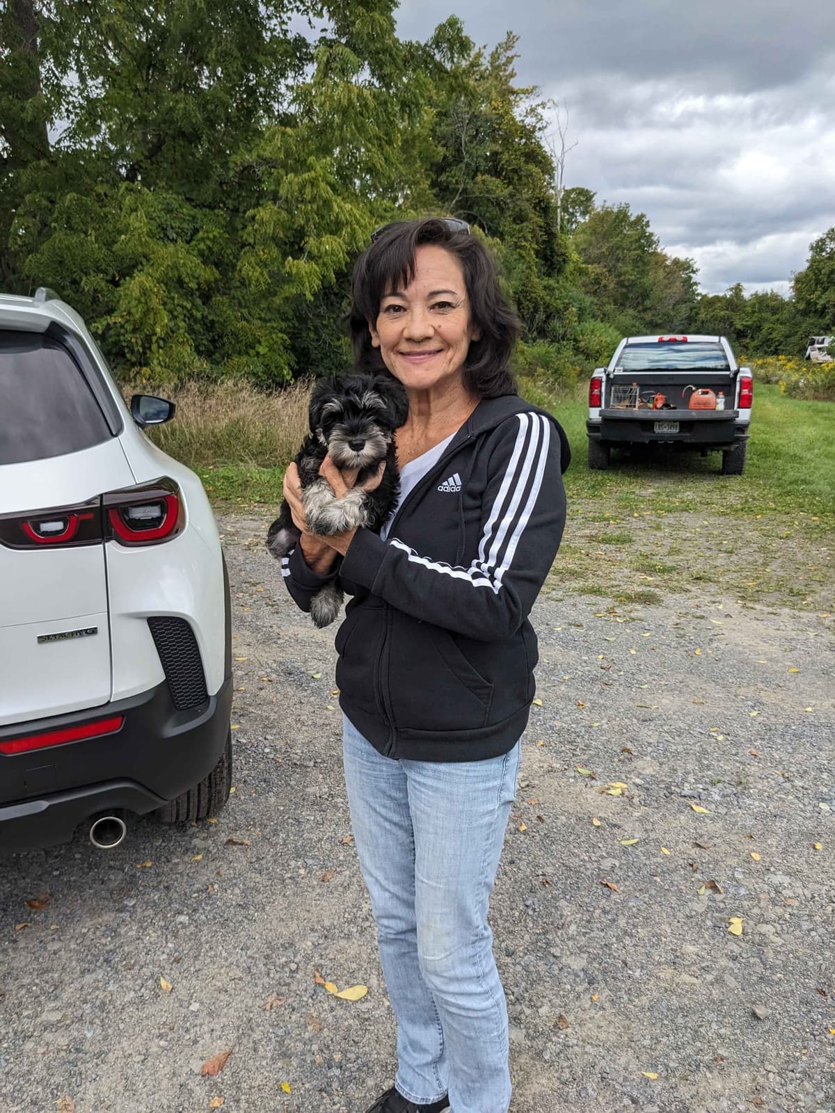 Miniature Schnauzer Puppies breeder image 8