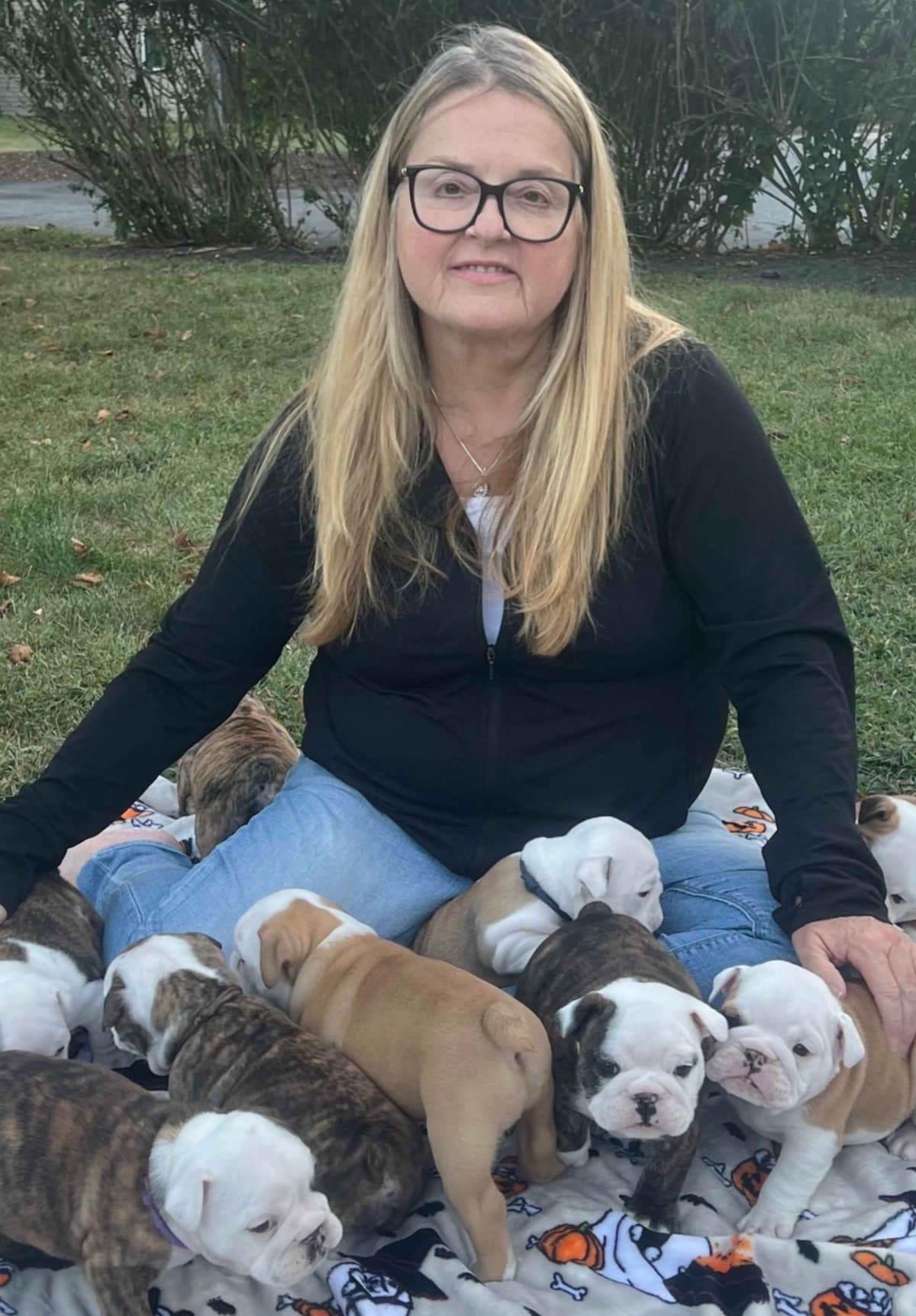 Norse Mythology Litter breeder image 1