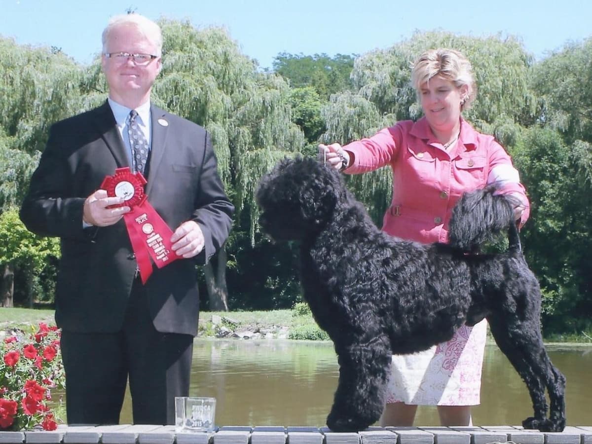 Portuguese Water Dog Puppies Born 3/18, Available May 2026 breeder image 3