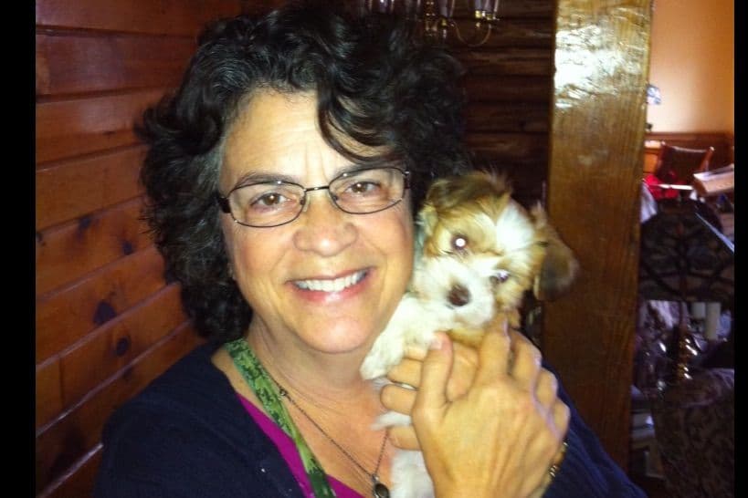 Havanese Puppies breeder image 1