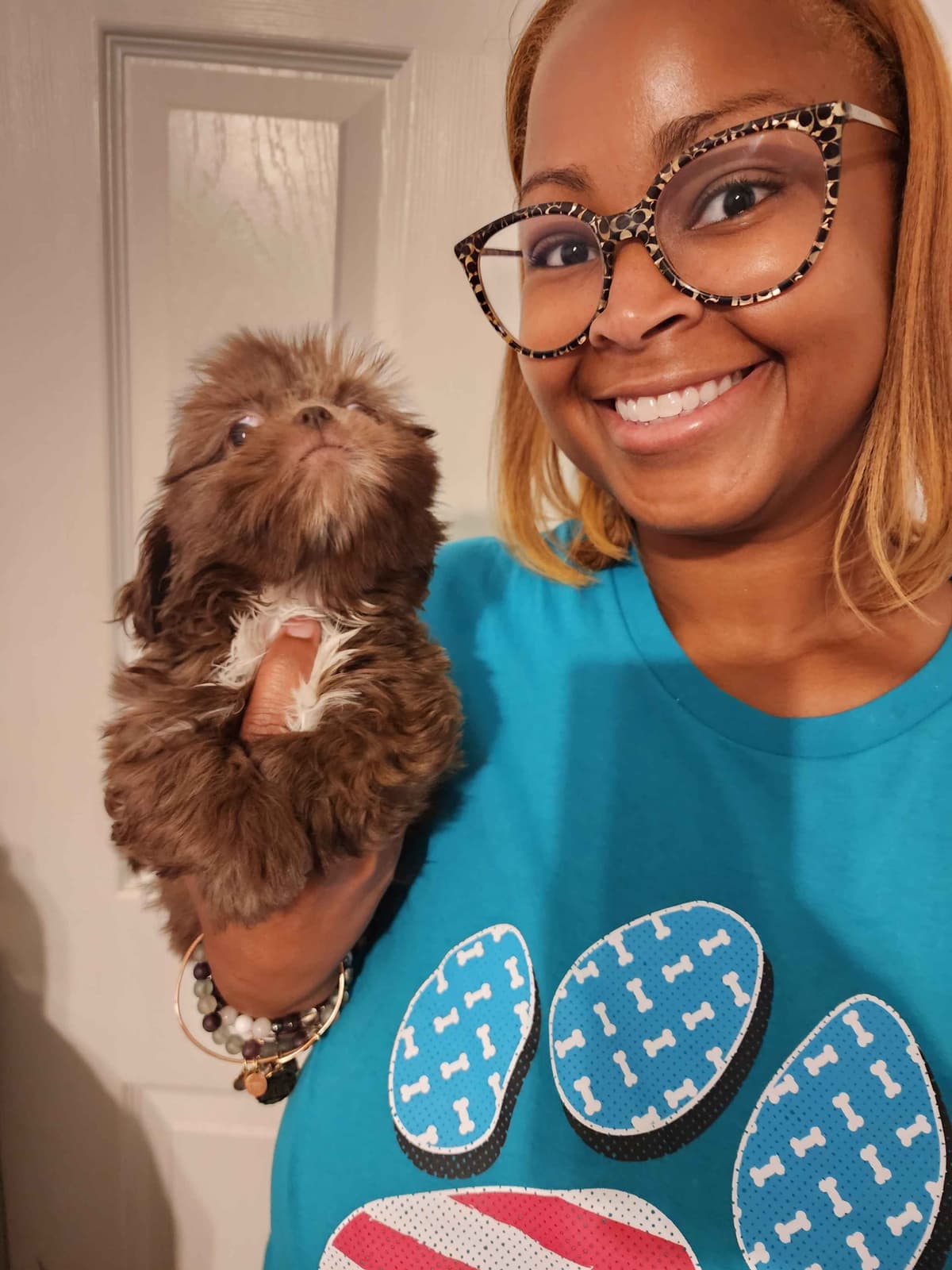 Adorable AFFORDABLE Shih Tzu Puppies breeder image 8