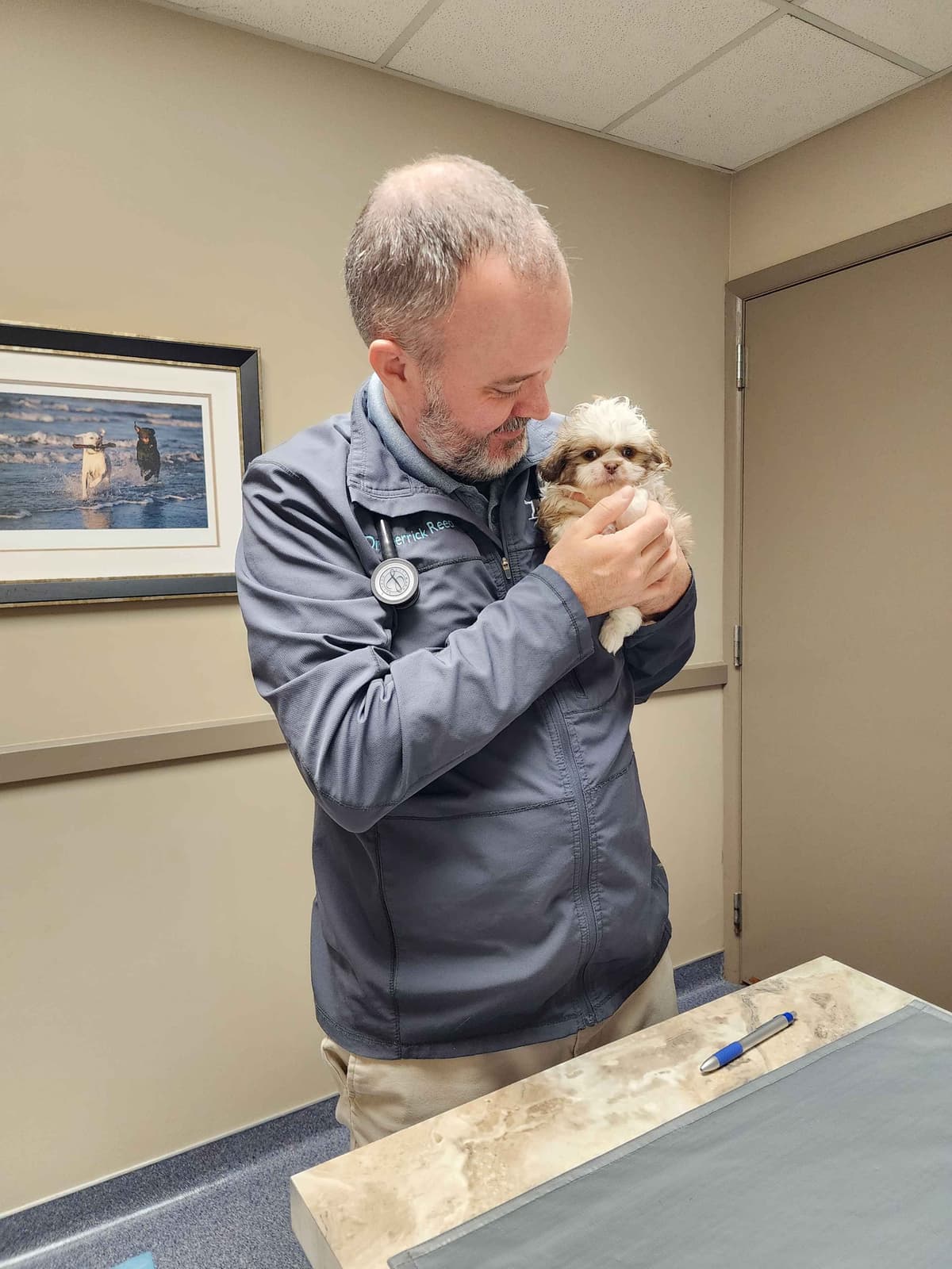 Adorable AFFORDABLE Shih Tzu Puppies breeder image 13