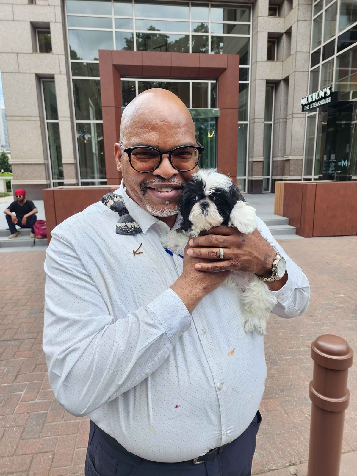 Adorable AFFORDABLE Shih Tzu Puppies breeder image 16