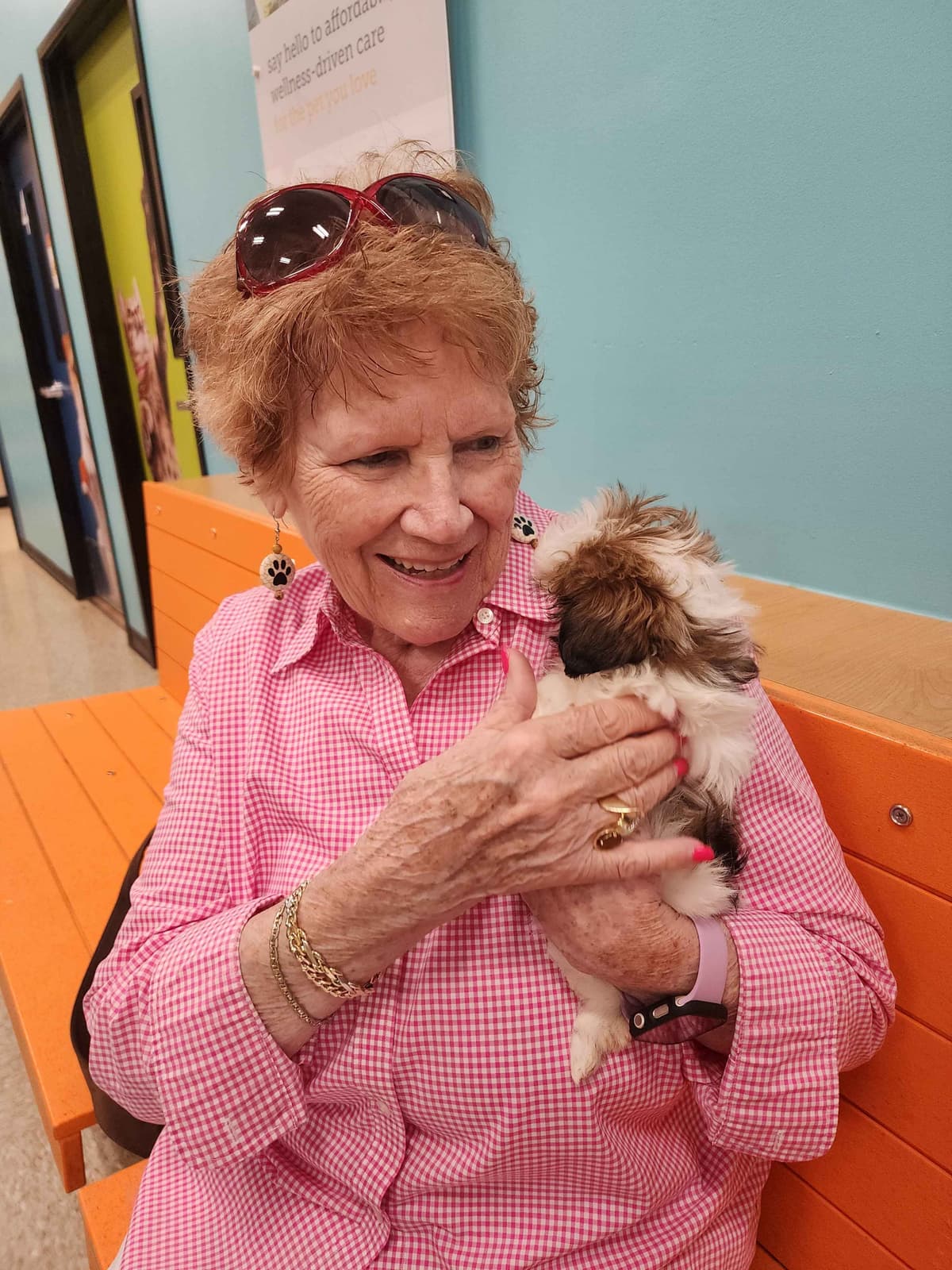 Adorable AFFORDABLE Shih Tzu Puppies breeder image 18