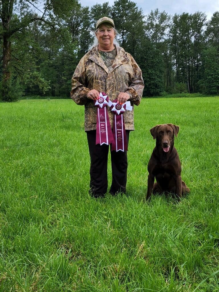 Labrador Retriever Puppies breeder image 8