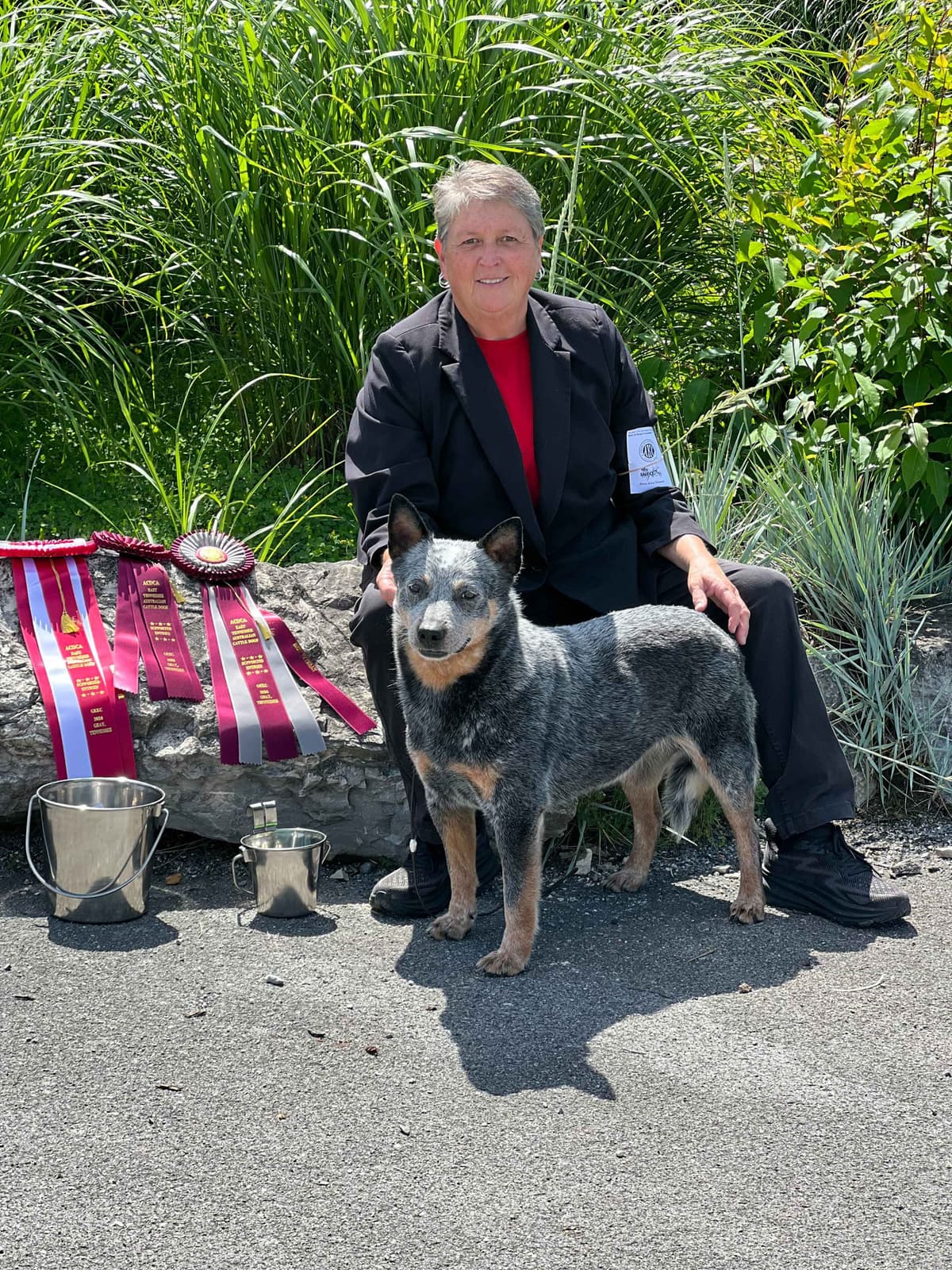Australian Cattle Dog Puppies breeder image 8