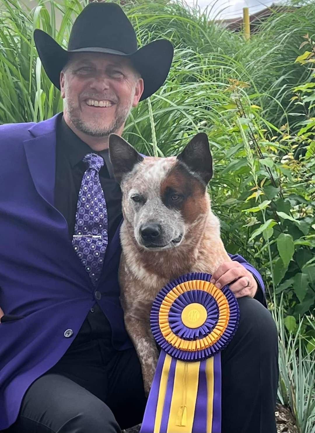 Australian Cattle Dog Puppies breeder image 11