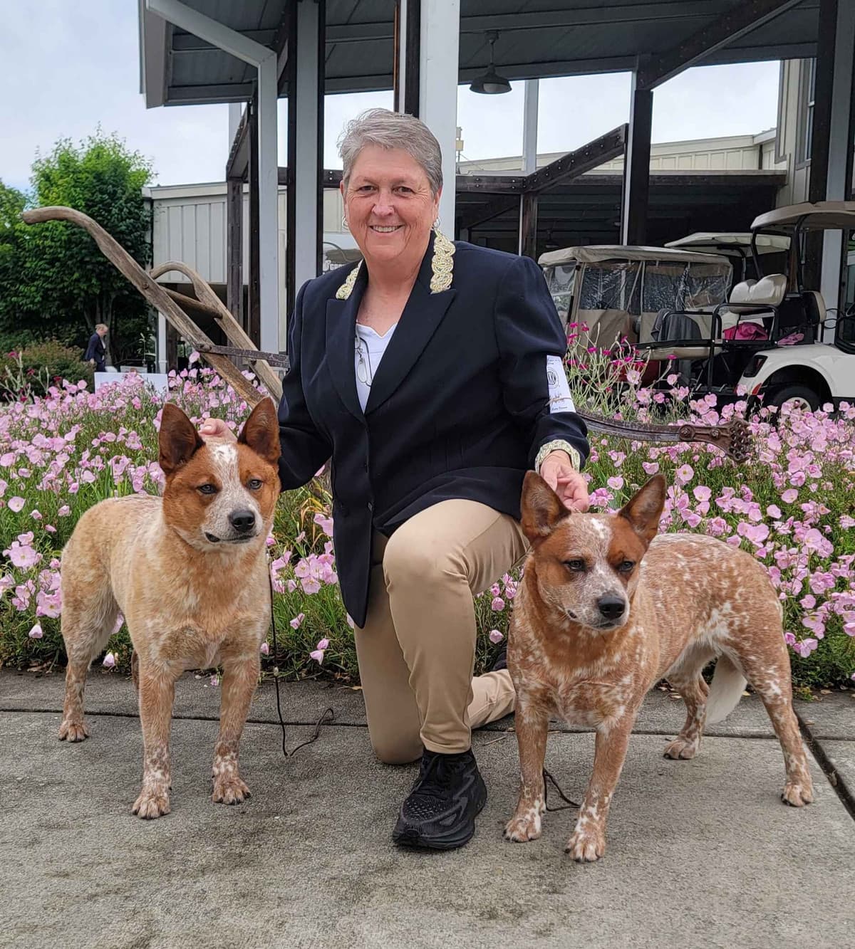 Australian Cattle Dog Puppies breeder image 14