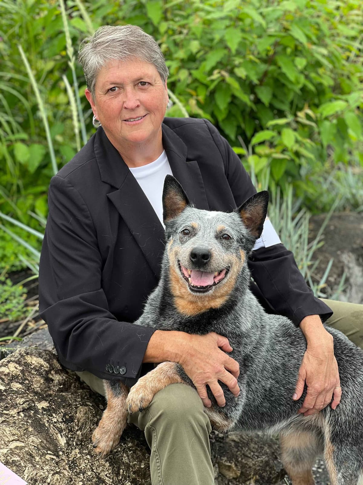 Australian Cattle Dog Puppies breeder image 29