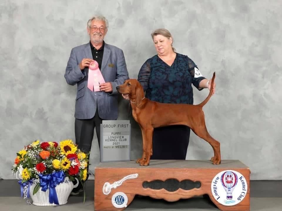 Redbone Coonhound Puppies breeder image 3