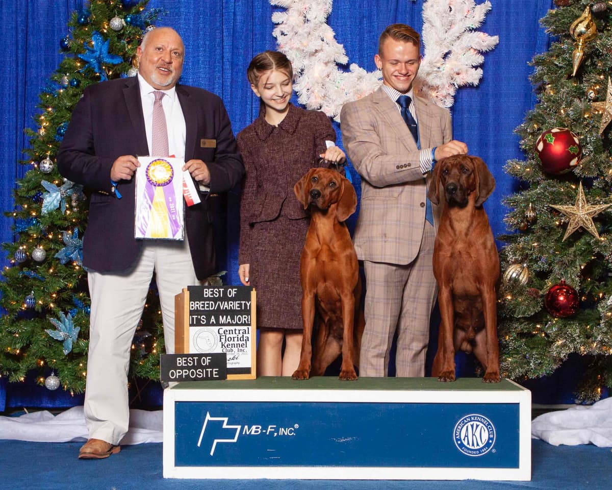 Redbone Coonhound Puppies breeder image 13