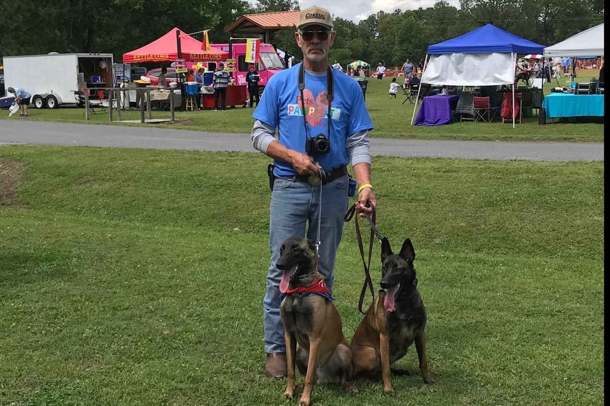 Belgian Malinois Puppies breeder image 16
