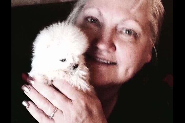 ICE WHITE POMERANIAN WITH one ( very rare ) BLUE EYE breeder image 3