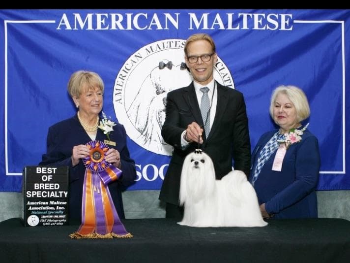 Melitica Maltese breeder image 4