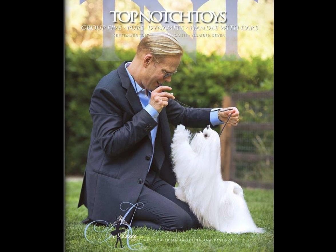 Melitica Maltese breeder image 6