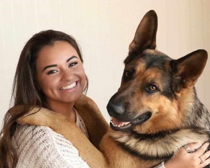 XL German Shepherd Puppies breeder image 10