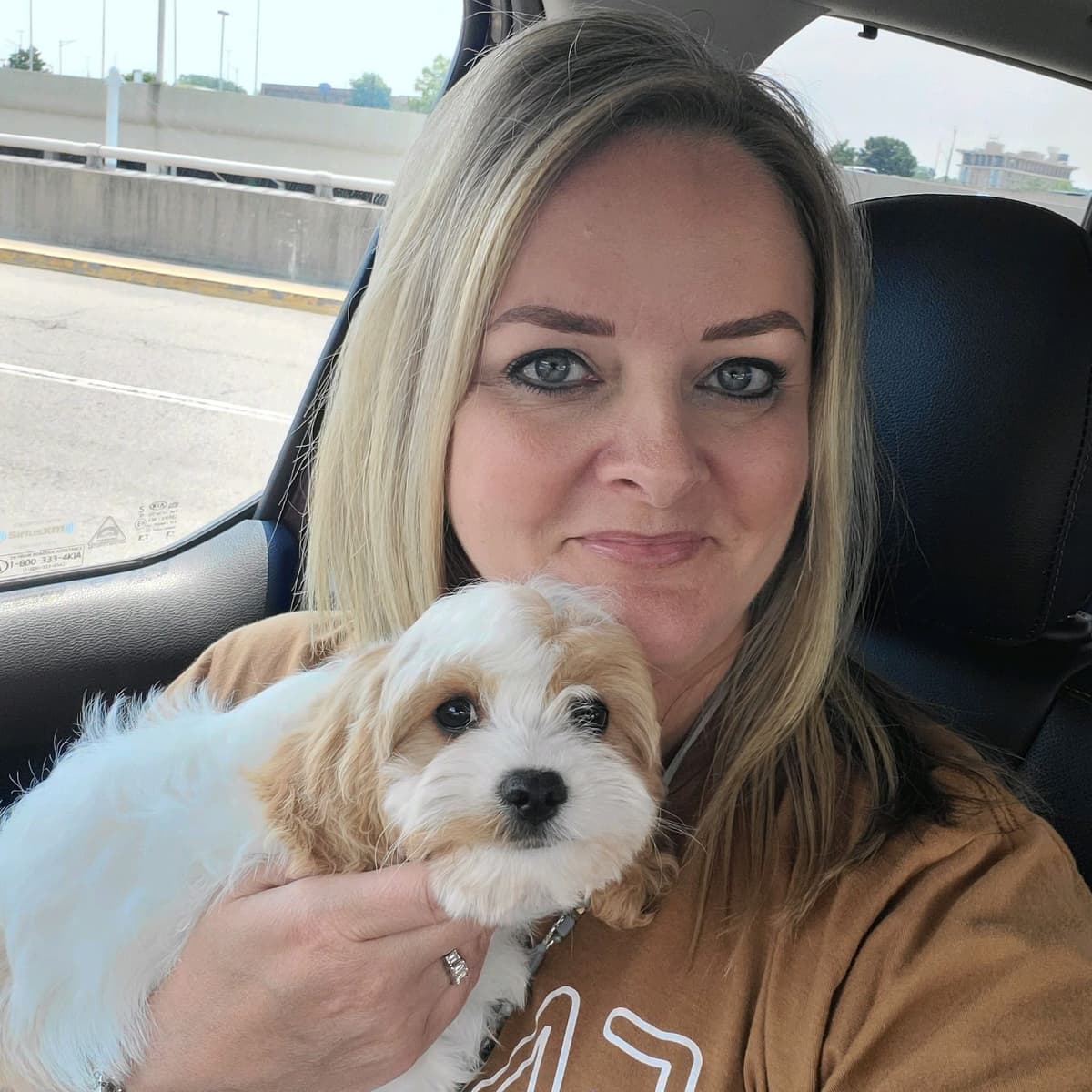 Available Red & Apricot Poodle Puppies! breeder image 3