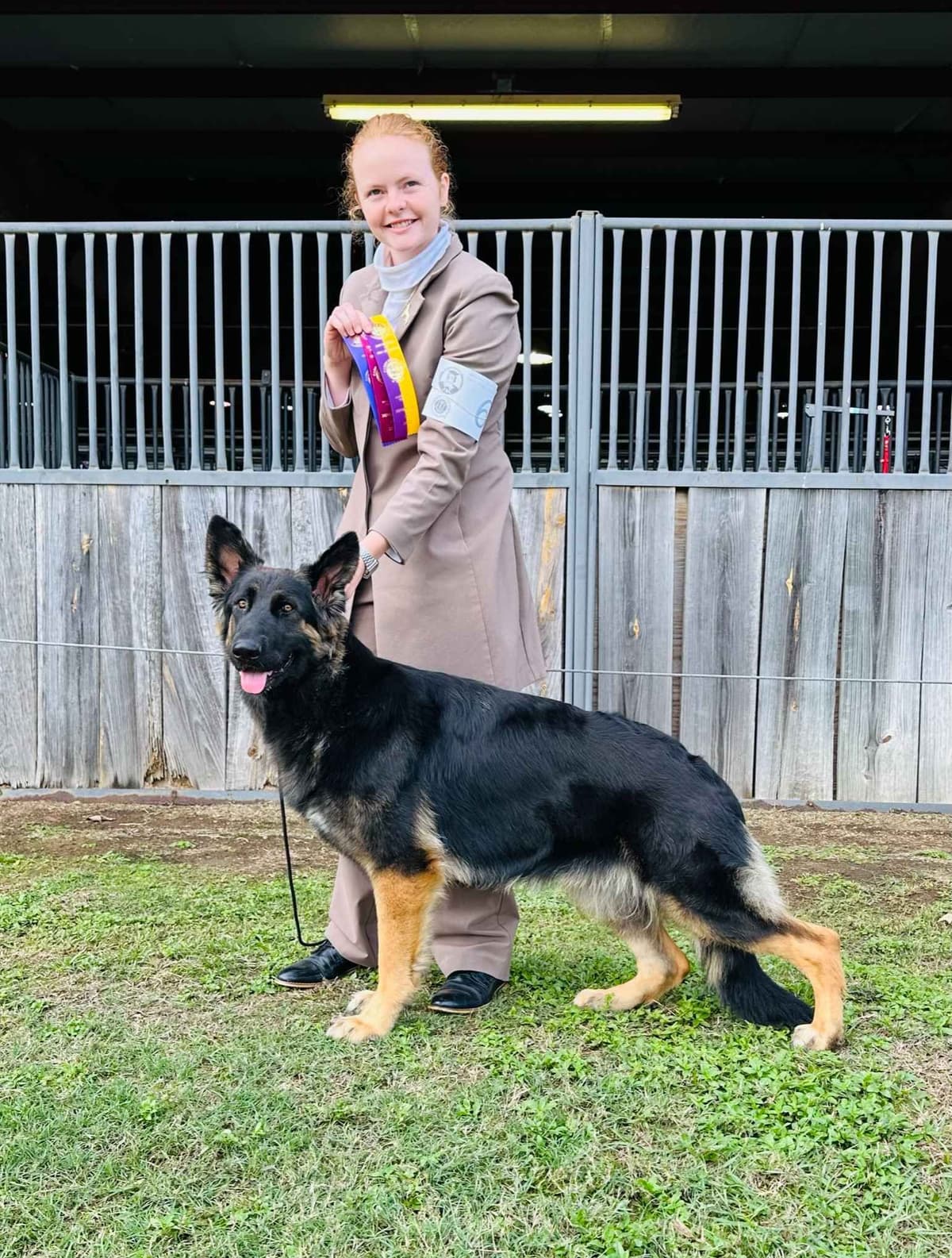 German Shepherd Dog Puppies breeder image 6