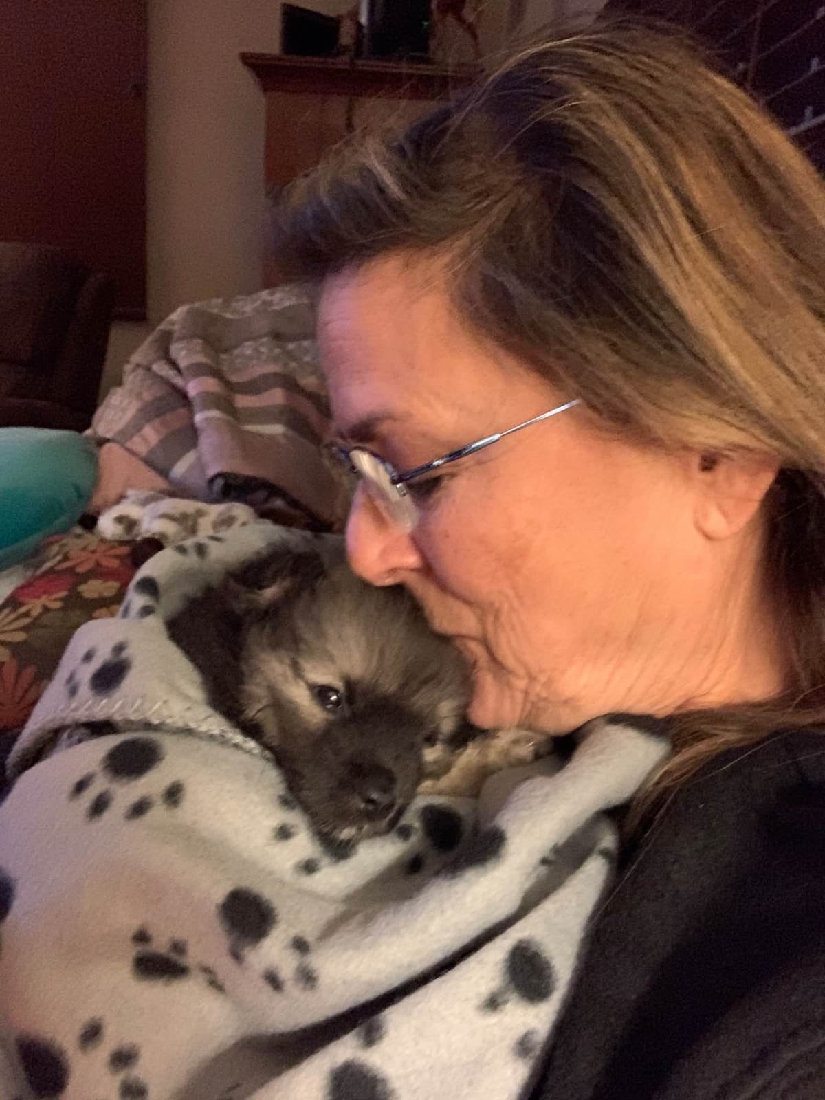 Keeshond Puppies breeder image 5