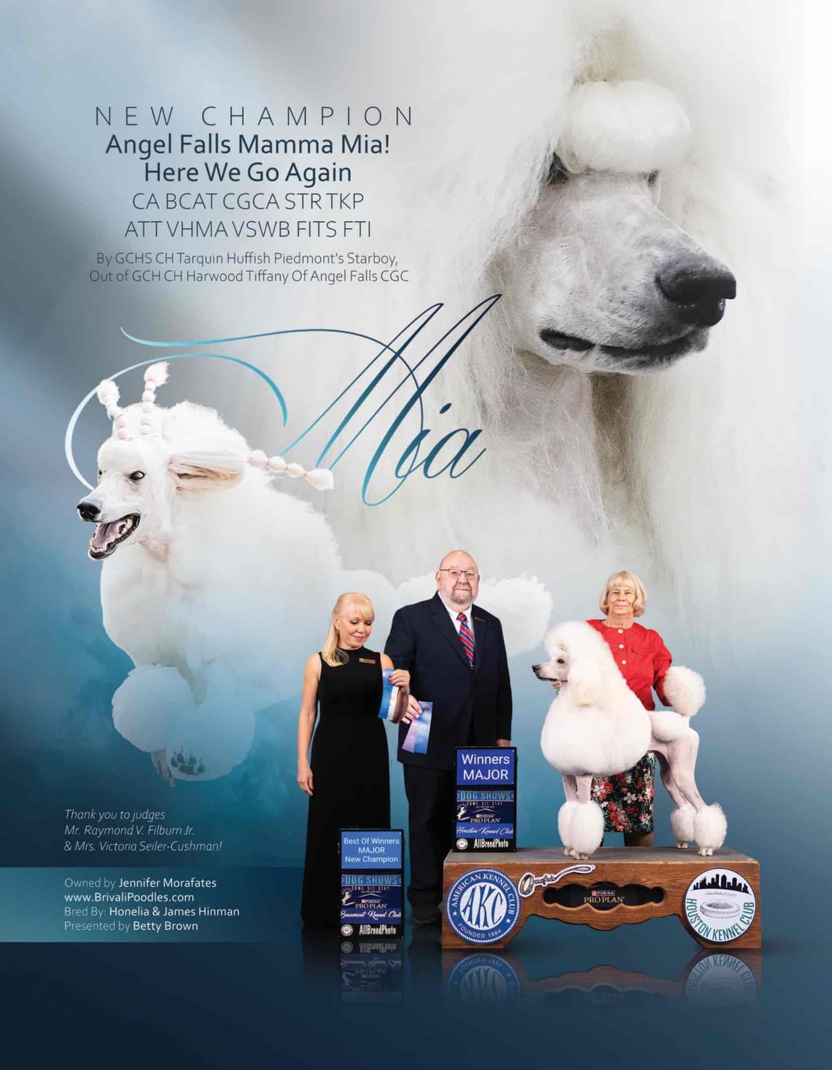 Standard Poodle Puppies breeder image 3