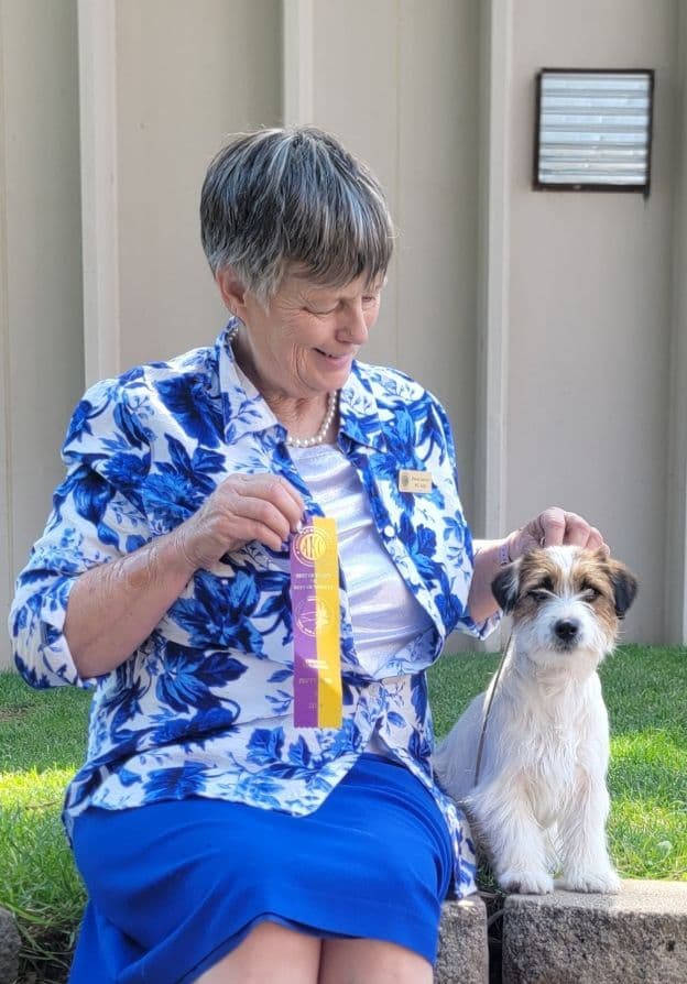 Russell Terrier Puppies breeder image 18