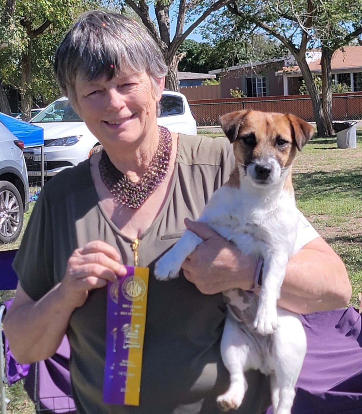Russell Terrier Puppies breeder image 25