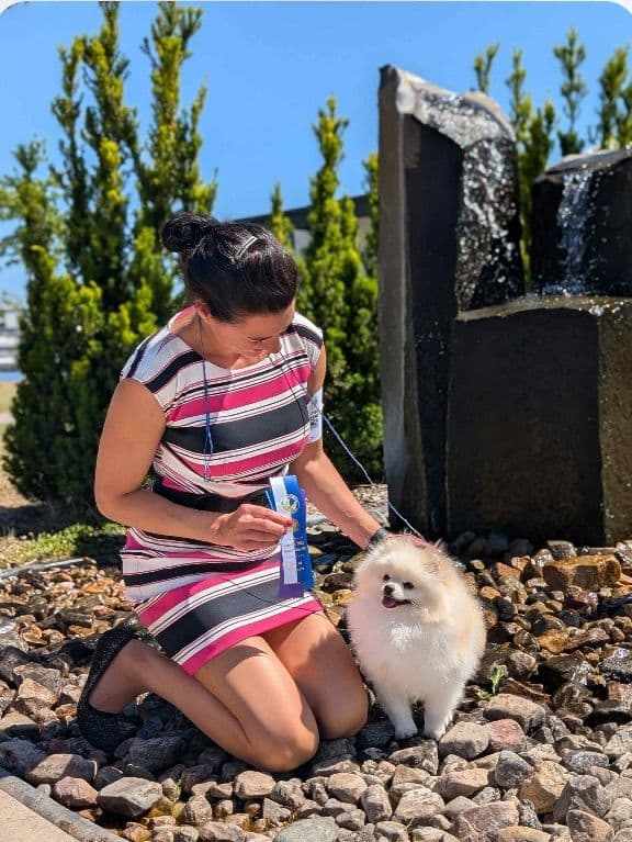 Pomeranian Puppies breeder image 24