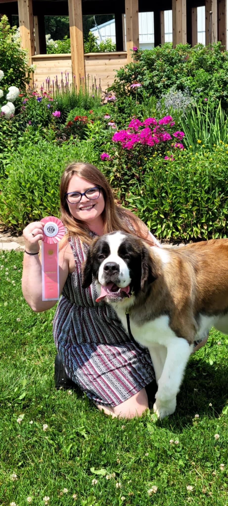 Saint Bernard Puppies breeder image 7