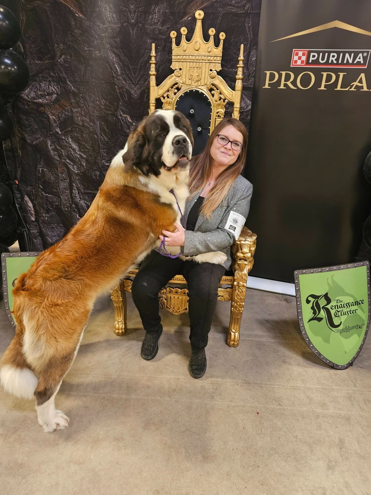 Saint Bernard Puppies breeder image 13