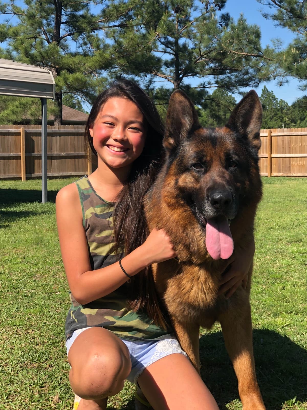 German Shepherd Dog Puppies breeder image 18