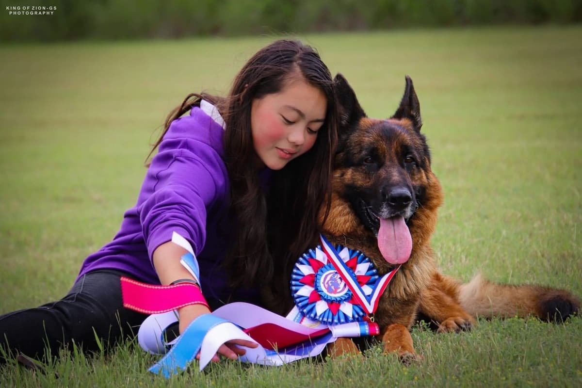 German Shepherd Dog Puppies breeder image 15