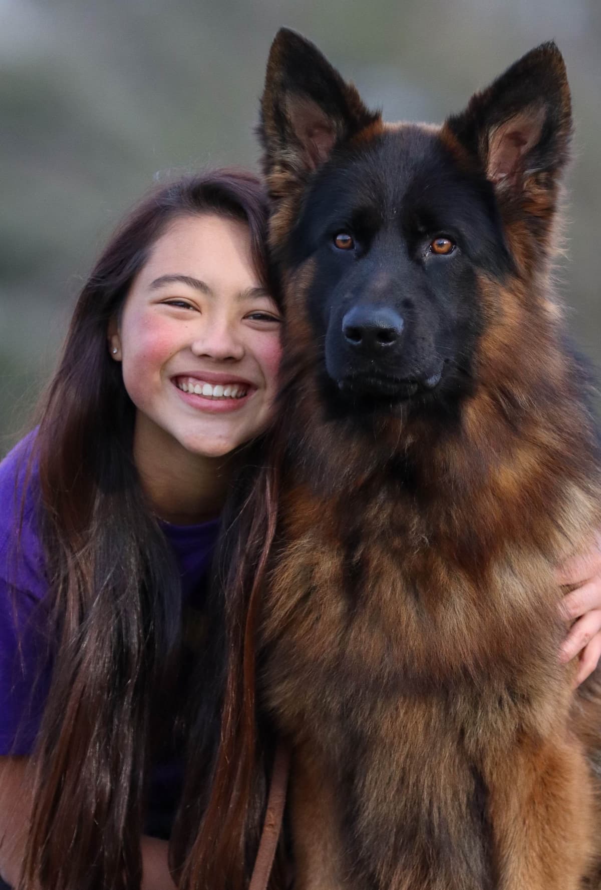 German Shepherd Dog Puppies breeder image 5
