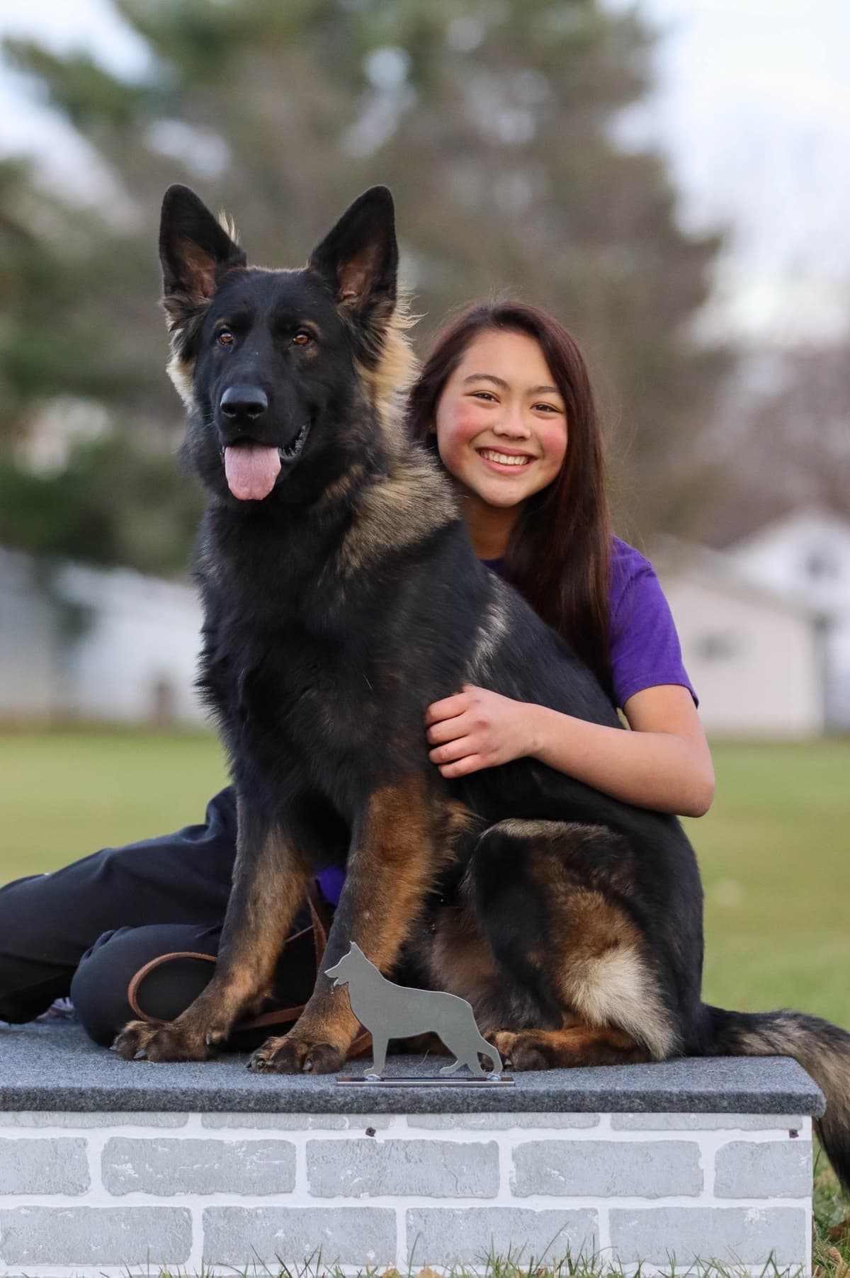 German Shepherd Dog Puppies breeder image 19