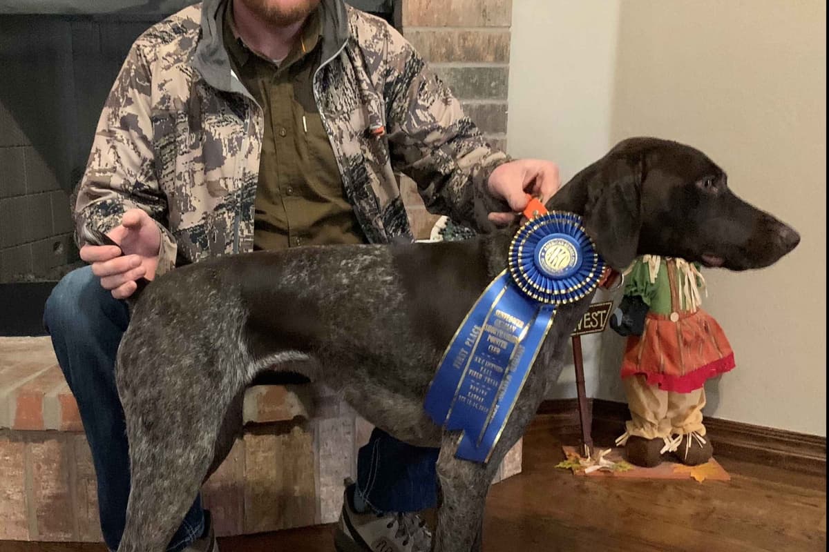 German Shorthaired Pointer Puppies - Hall of Fame bloodlines breeder image 5
