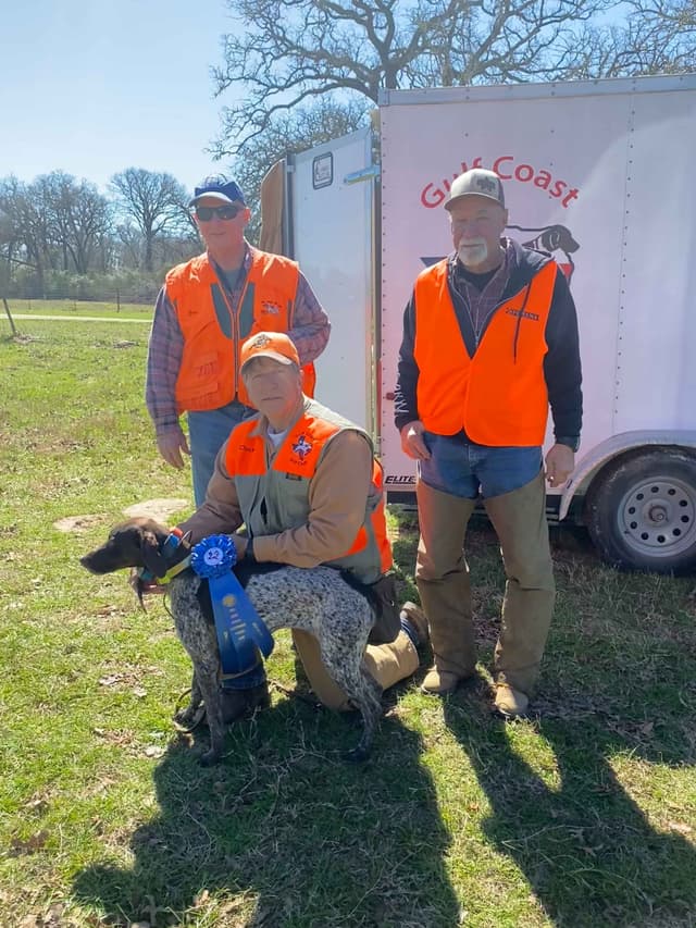 German Shorthaired Pointer Puppies - Hall of Fame bloodlines media 12