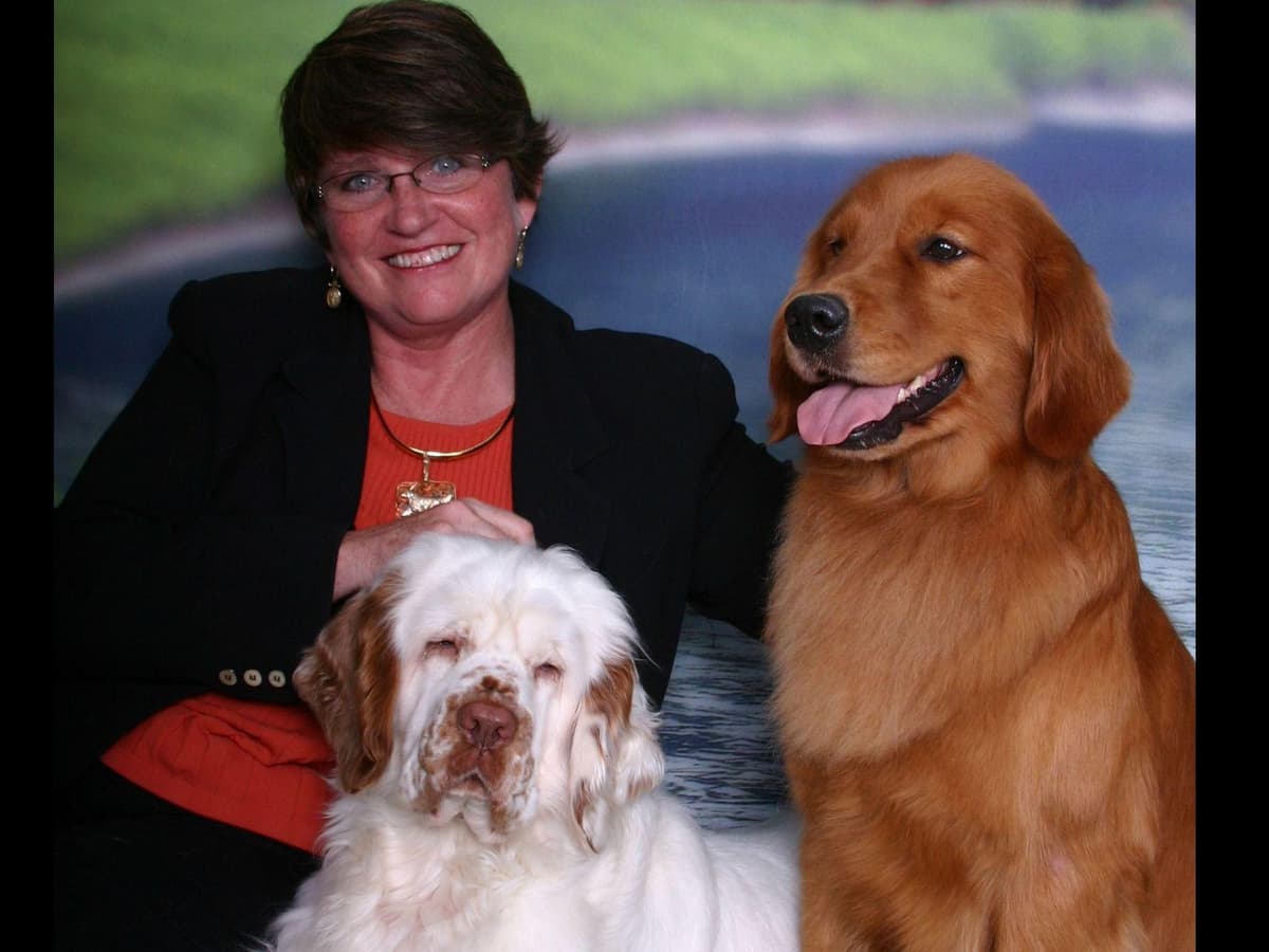 Golden Retriever Puppies breeder image 1