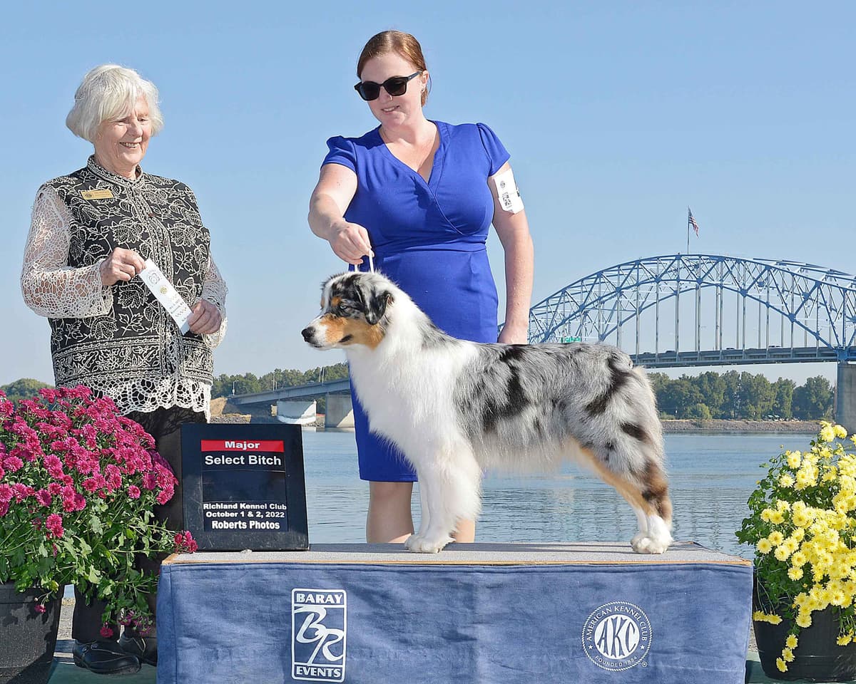 Australian Shepherd Puppies breeder image 6