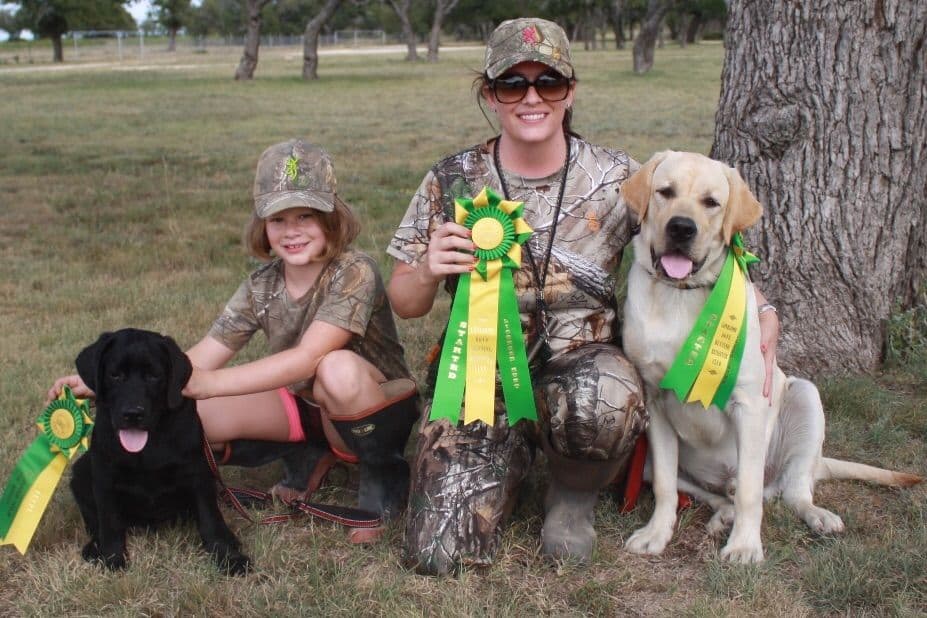 Labrador Retriever Puppies breeder image 16