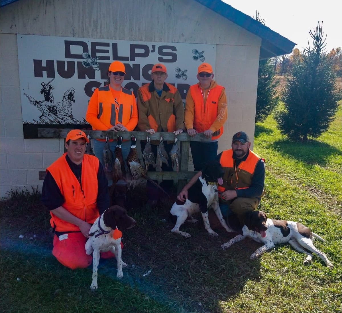 German Shorthaired Pointer Puppies breeder image 10