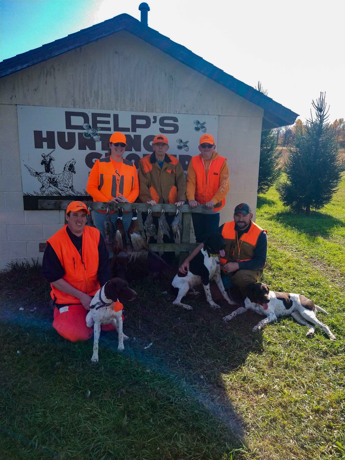 German Shorthaired Pointer Puppies breeder image 13