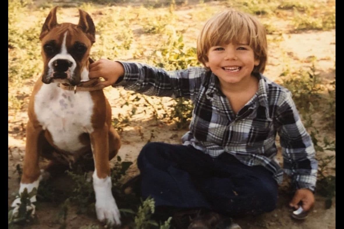 CnKCBoxers.com Has Pups! breeder image 1