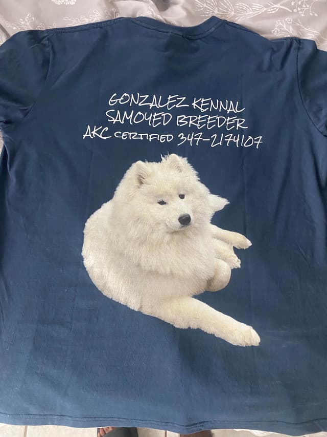 Samoyed Puppies media 25