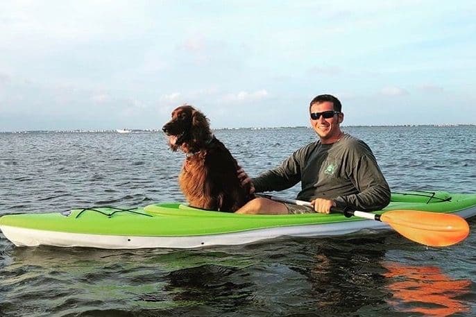 Male Irish Setter Puppy breeder image 4