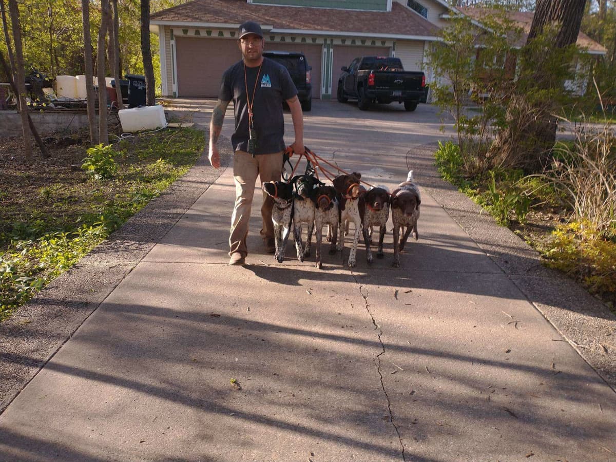 German Shorthaired Pointer Puppies breeder image 23