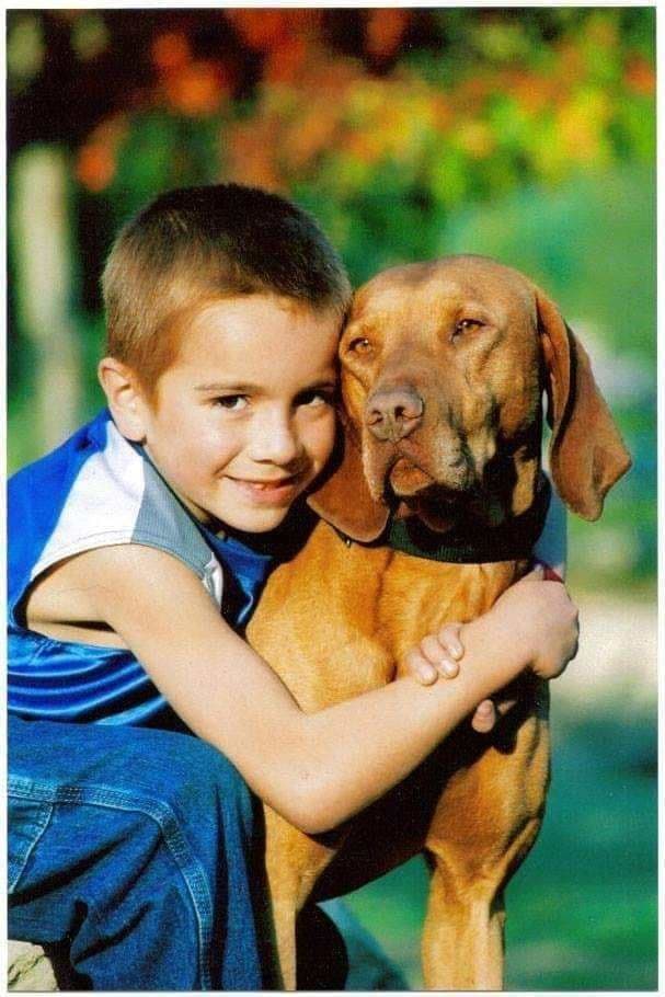 Female Vizsla Puppy breeder image 2