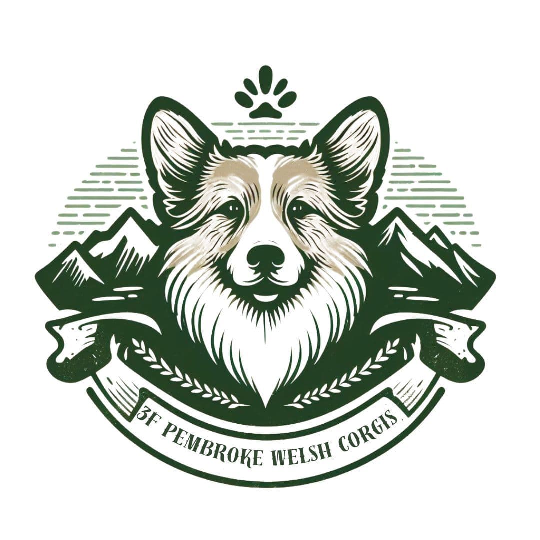 Pembroke Welsh Corgi Puppies breeder image 2