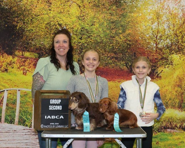 German Shorthaired Pointer Puppies breeder image 25