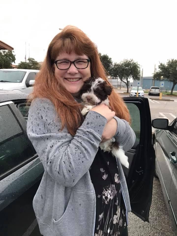 Purebred Havanese Companions - OFA/DNA Health Tested Sire & Dam! breeder image 3