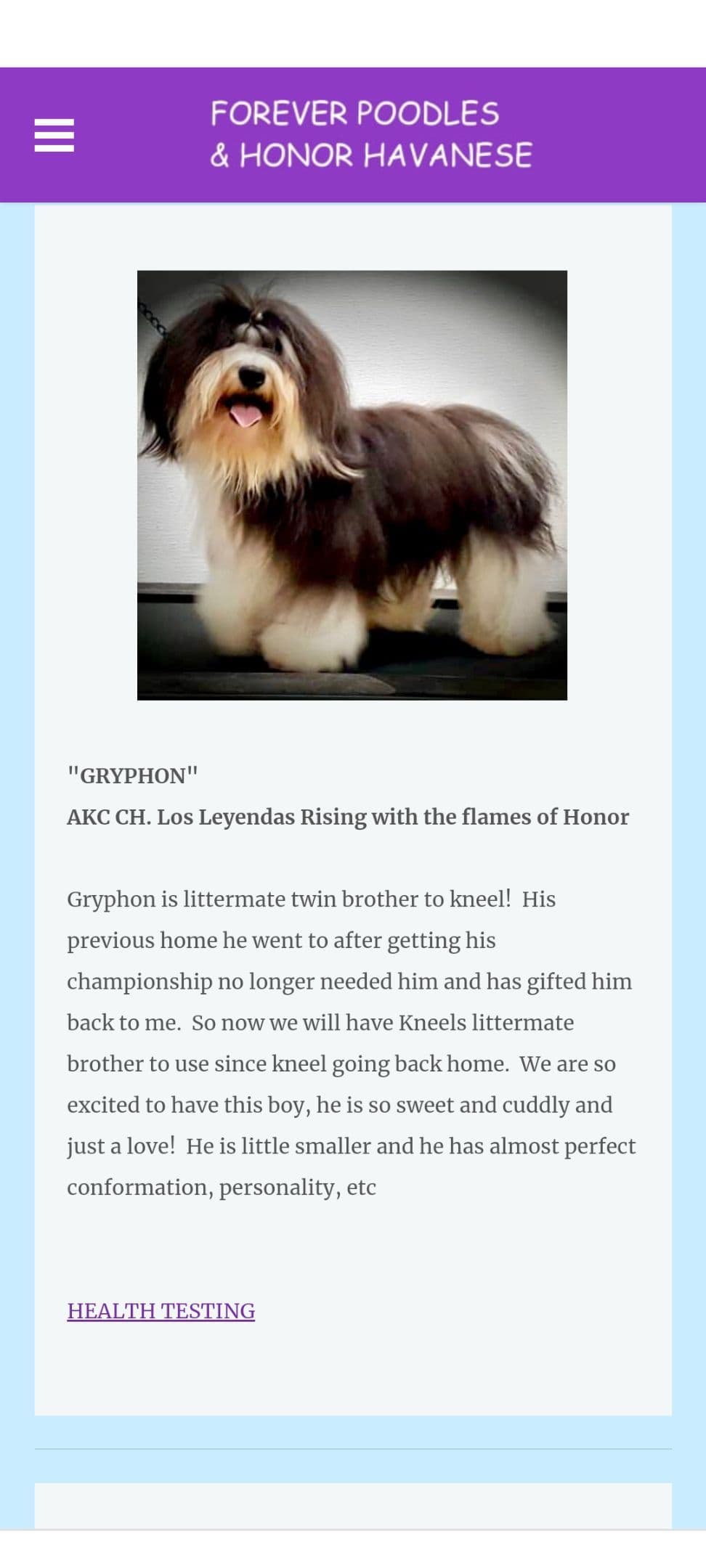 Havanese Puppies breeder image 12