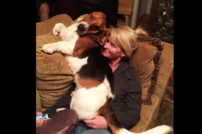Basset Hound Puppies breeder image 1